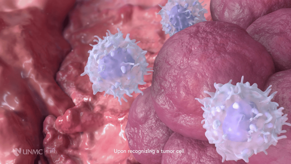 Screenshot 2023-12-04 at 8.56.56 AM